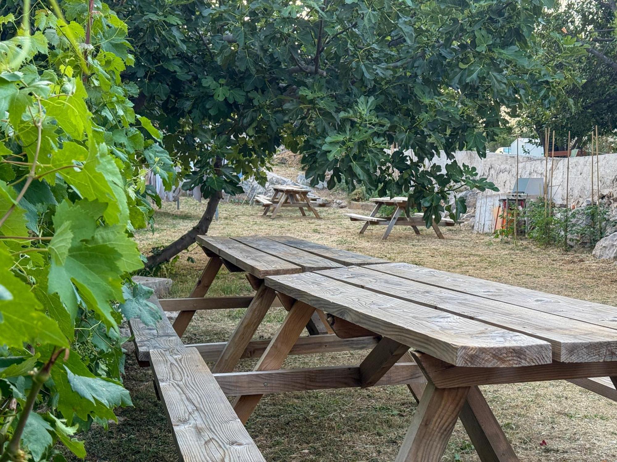 Voltera In Old Town, With Parking Nearby Apartment