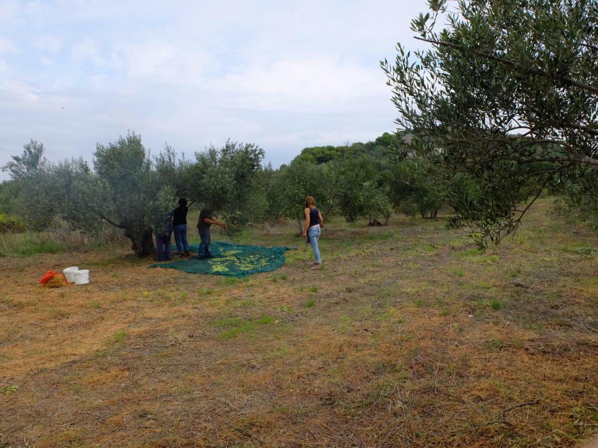 Apartment Voltera Parking Space Near The House Betina (Sibenik-Knin)